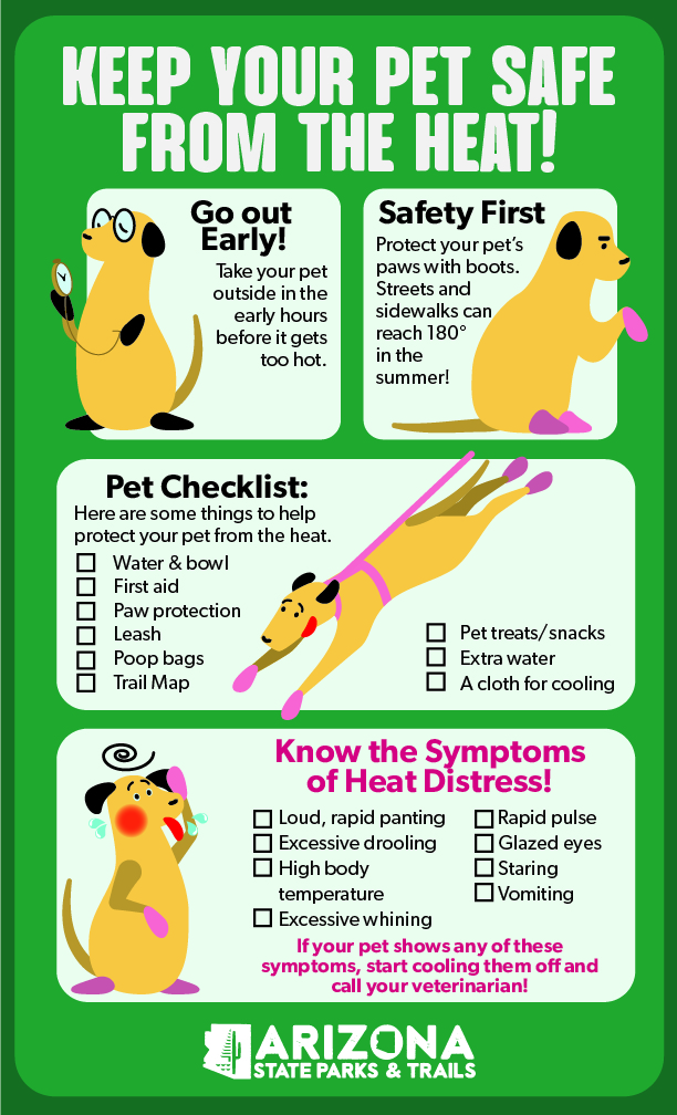 An infographic about keeping your pet safe from the heat, including going out early, protecting their paws with boots, bringing proper supplies, and knowing the symptoms of heat distress, including rapid panting, excessive drooling, rapid pulse, glazed eyes, seizures, vomiting, and high body temperature, as well as direction to contact your veterinarian if your pet is exhibiting these symptoms.